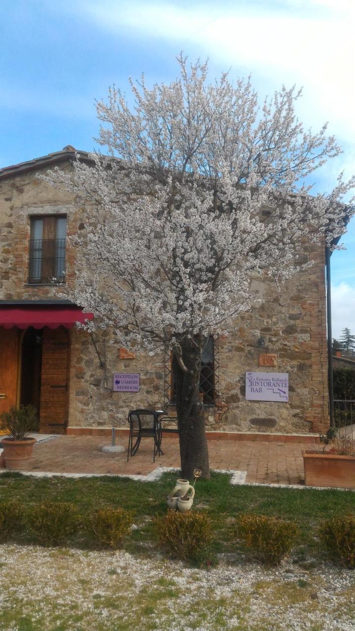 Country House La Fattoria Bellandi Contignano Kültér fotó